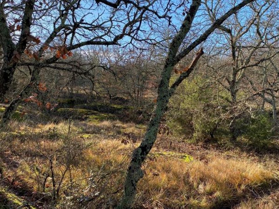 Terra a Aubenas, Ardeche - foto 3