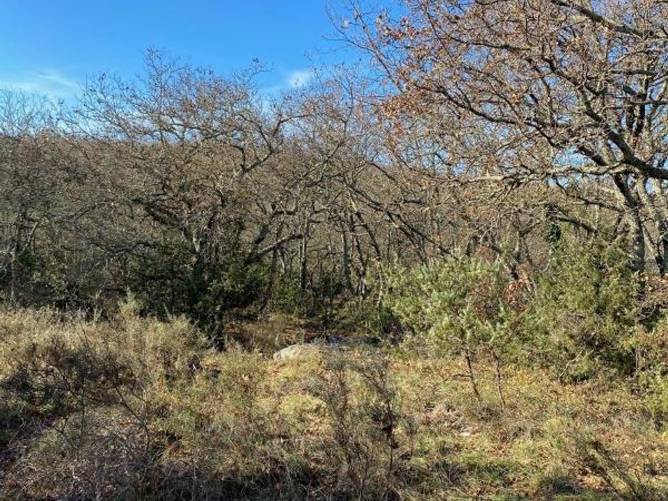 Terra a Aubenas, Ardeche - foto 4