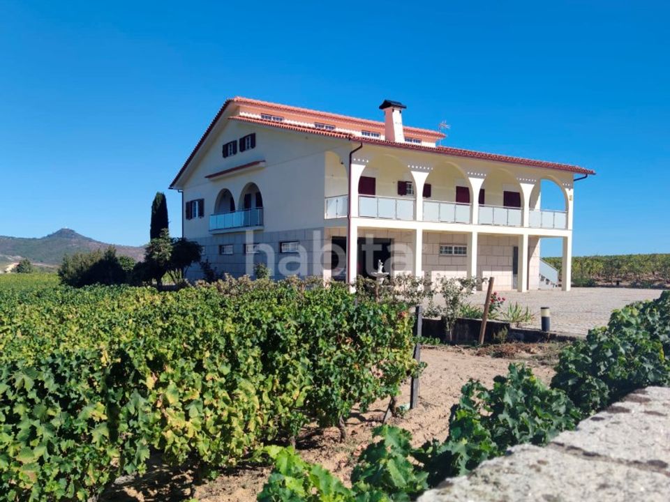 Granja a Alijo, Vila Real - foto 1