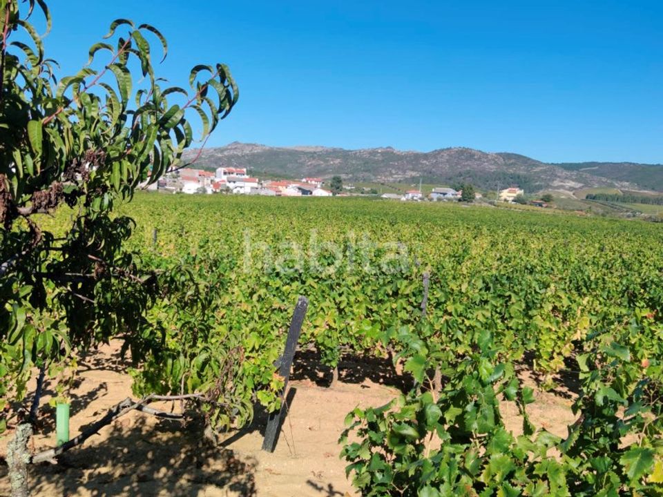 Granja a Alijo, Vila Real - foto 4