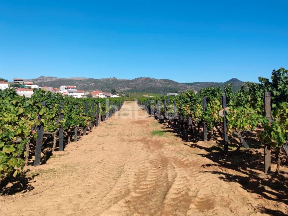 Granja a Alijo, Vila Real - foto 5
