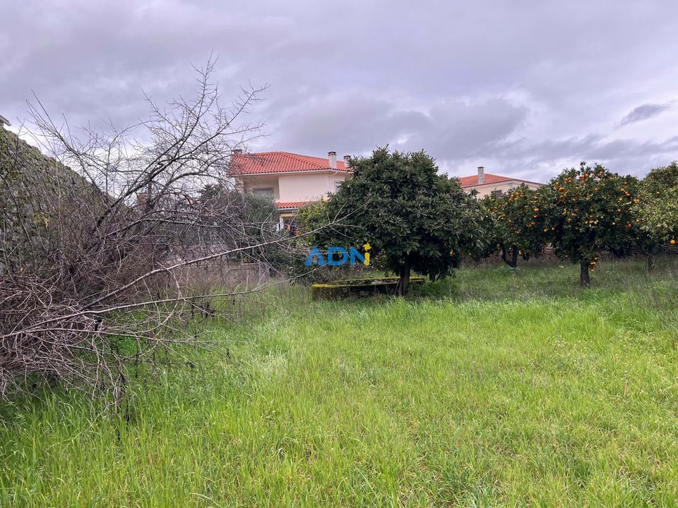 Farm hus i Alcains, Castelo Branco - foto 2