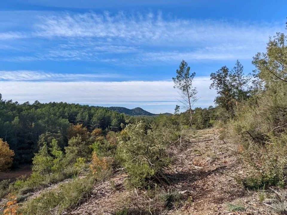 Działka: Carcès, Var – zdjęcie 3