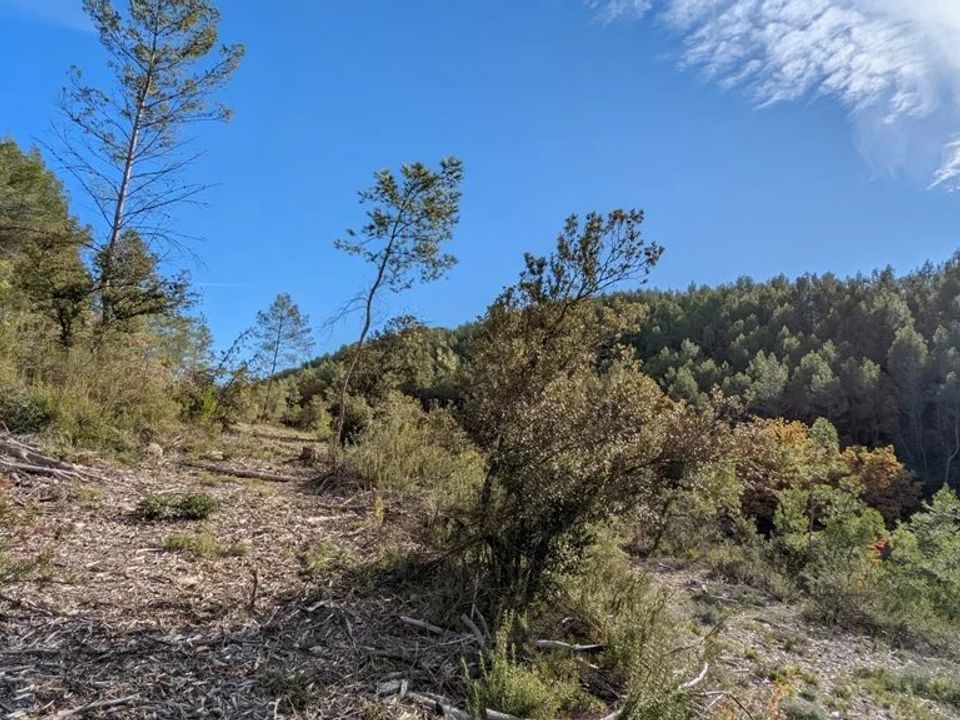 Działka: Carcès, Var – zdjęcie 1