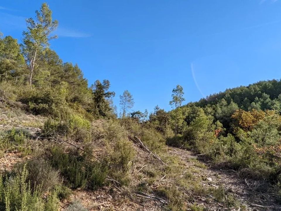 Działka: Carcès, Var – zdjęcie 4