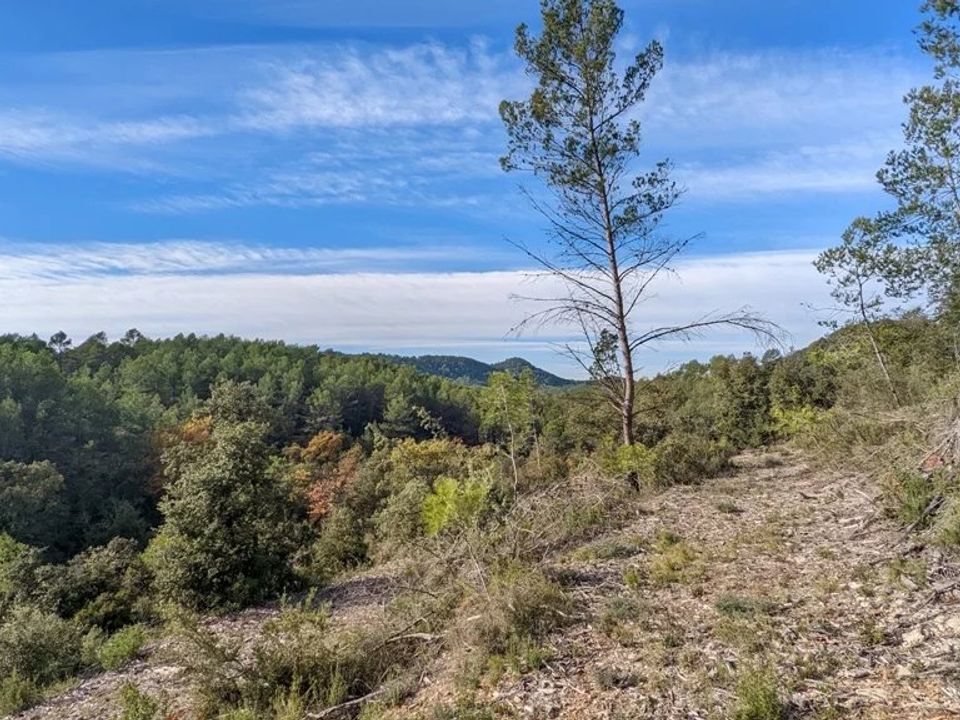 Działka: Carcès, Var – zdjęcie 5