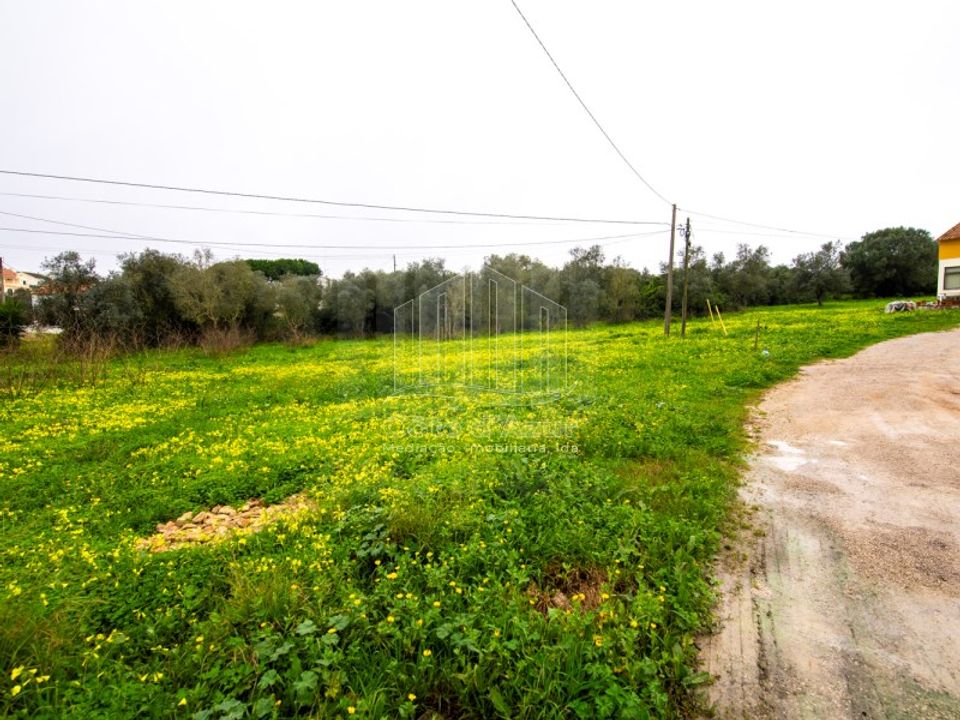Helårsgrund i Sesimbra, Setubal - foto 3