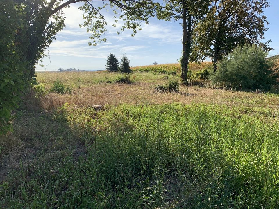 Helårsgrund i Solaize, Rhone - foto 3
