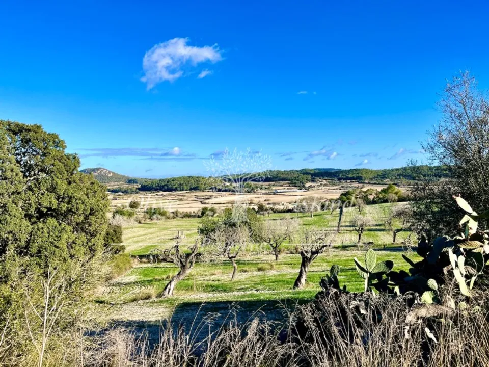 Masia a Sineu, Mallorca - foto 3