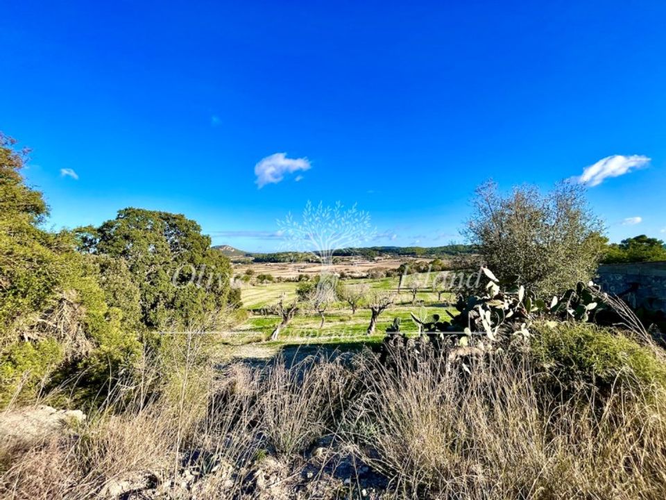 Masia a Sineu, Mallorca - foto 4