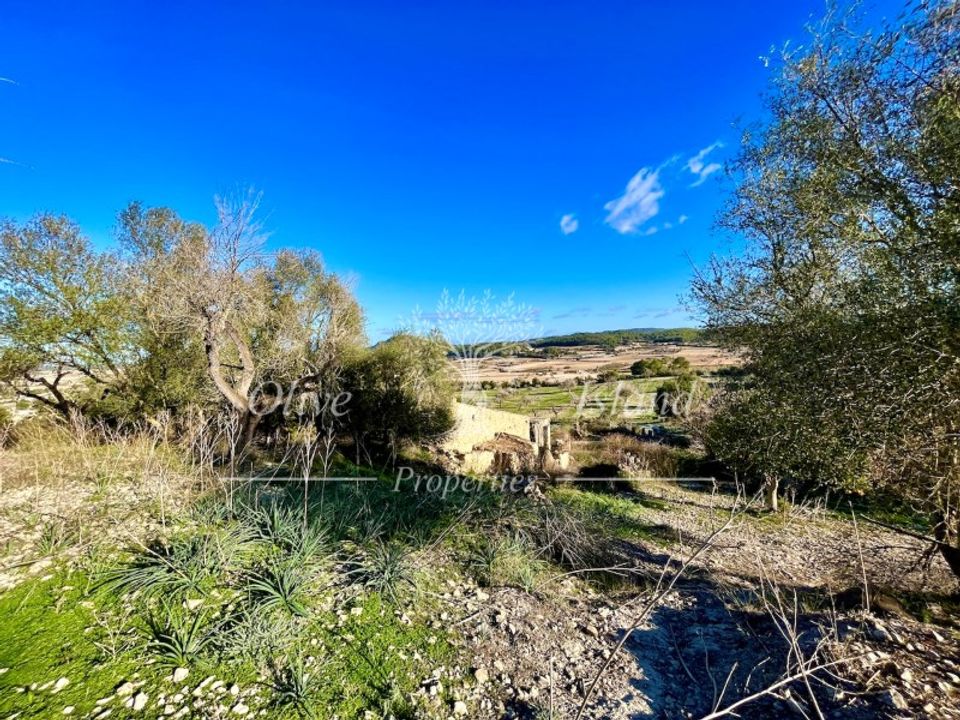 Masia a Sineu, Mallorca - foto 5