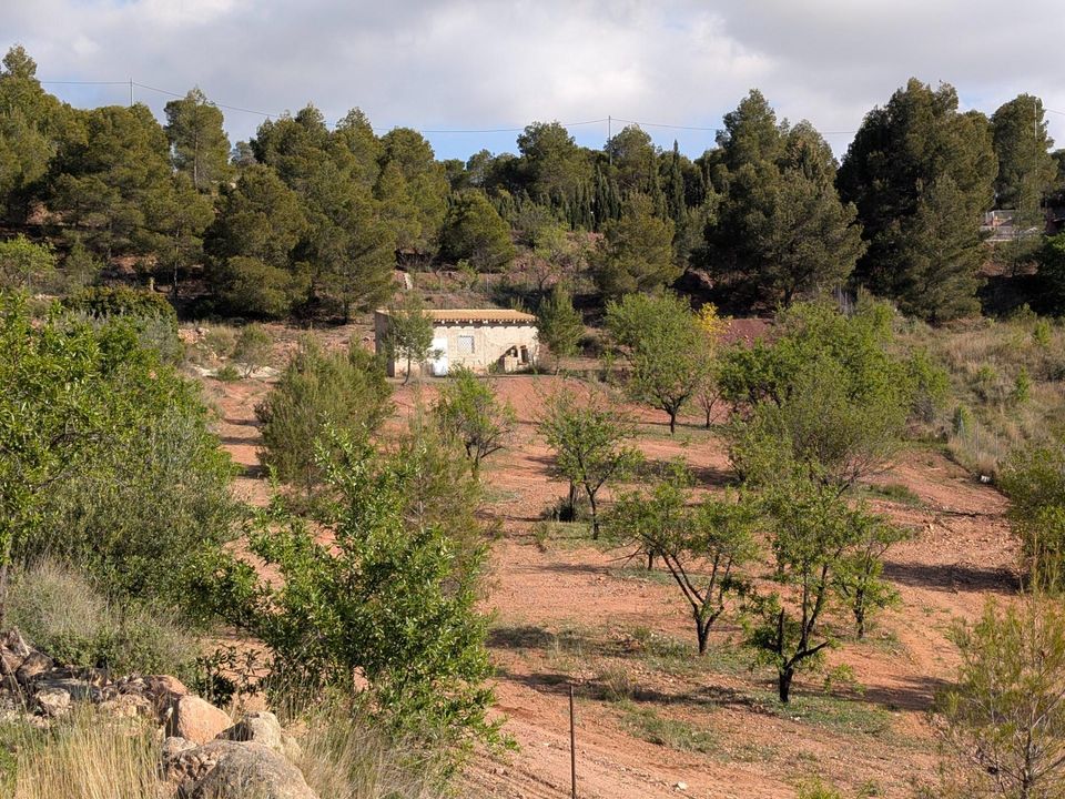 Landejendom i Totana, Murcia - foto 1