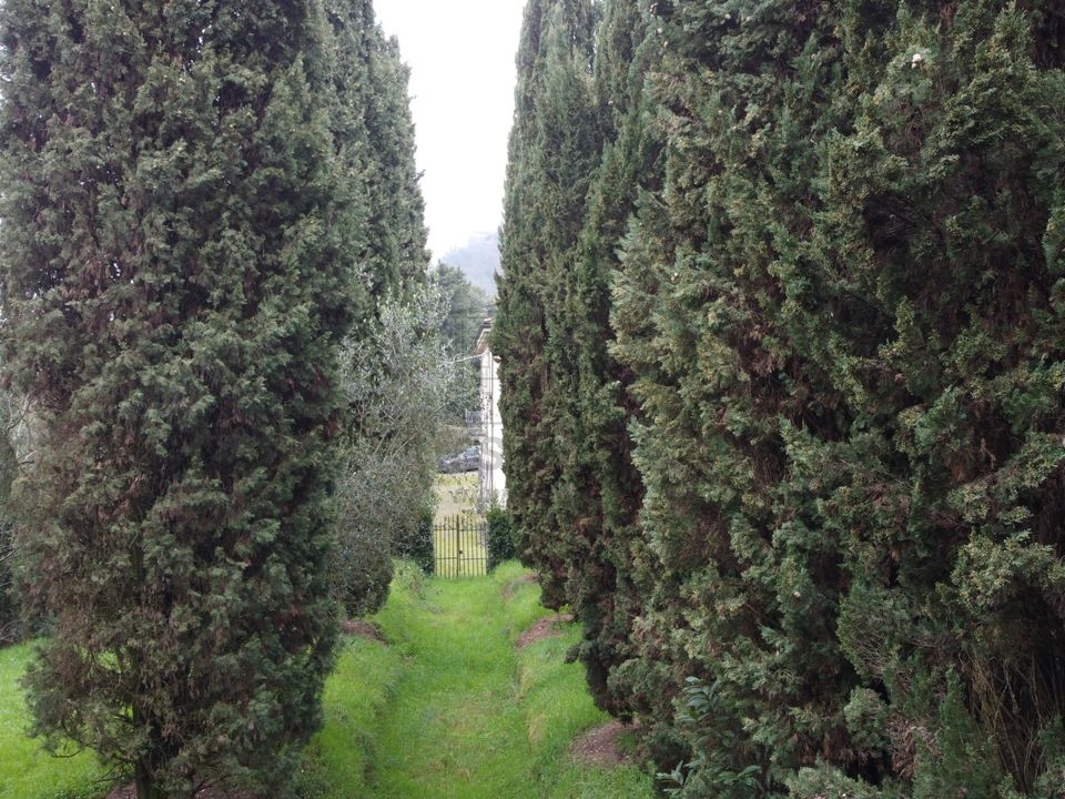Villa i Lucca, Lucca - foto 4