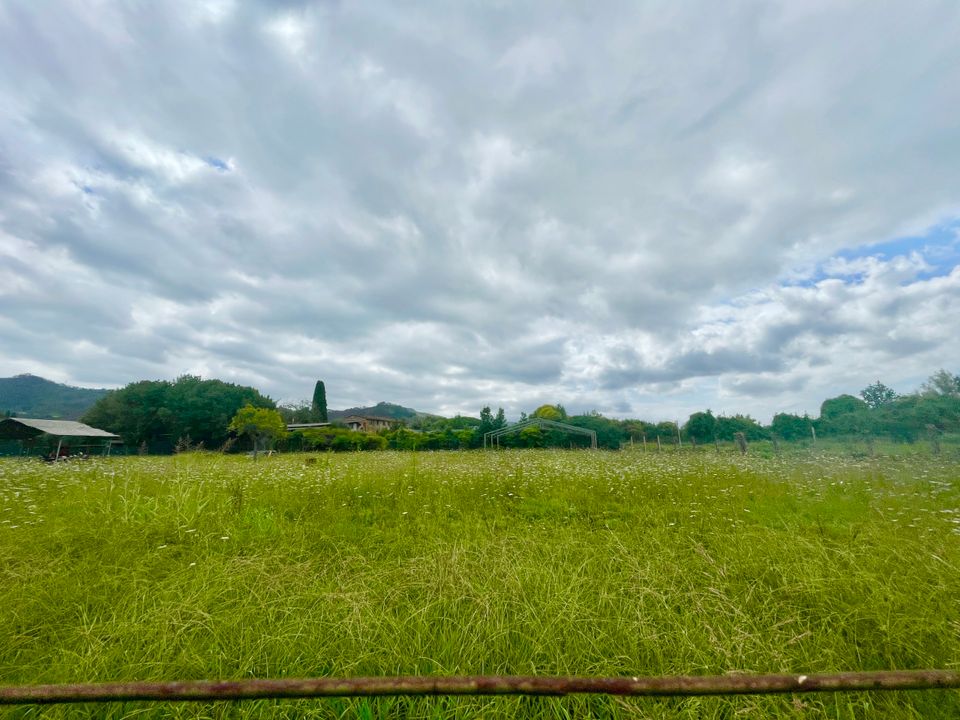 Villa i Massarosa, Lucca - foto 3