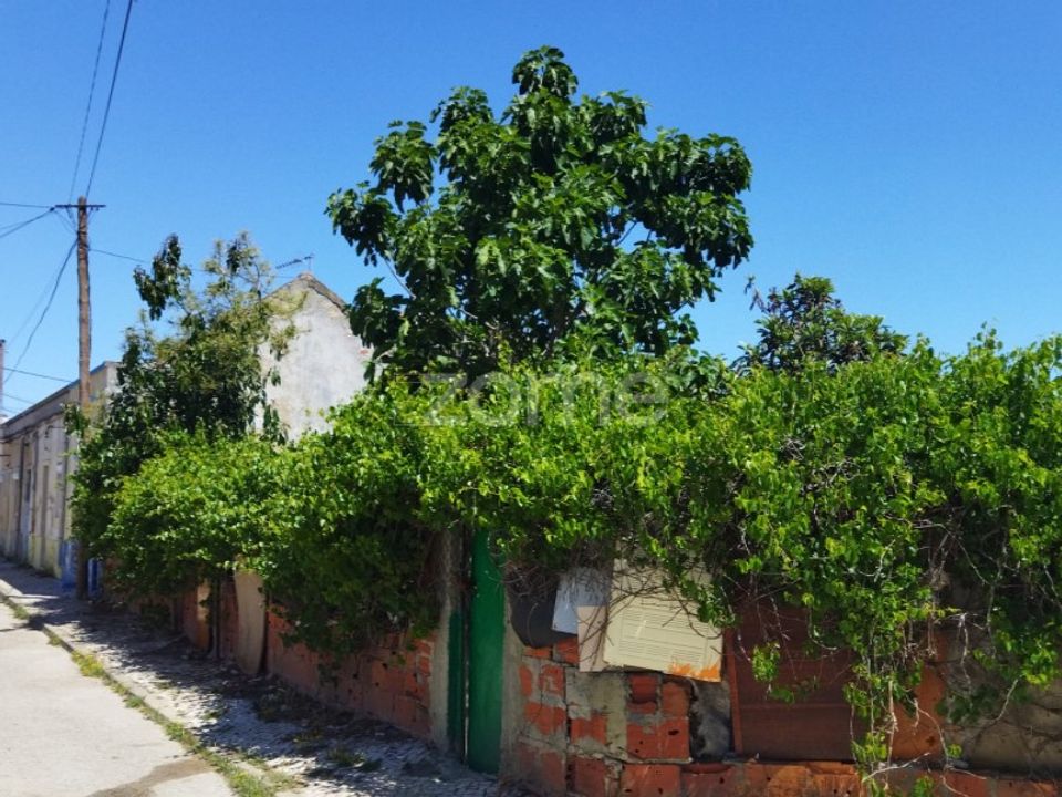 Helårsgrund i Baixa da Banheira, Setubal - foto 4