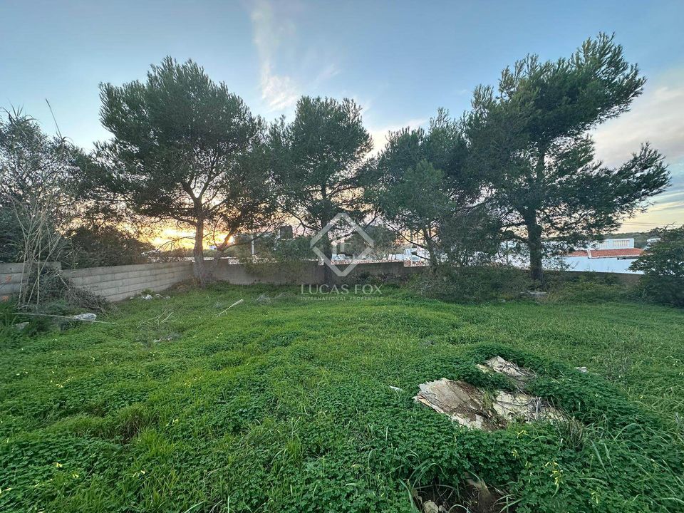 Tomt i Alaior, Menorca - bilde 1
