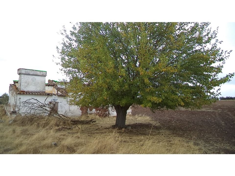 Erhvervsejendom i Barbacena e Vila Fernando, Portalegre - foto 1