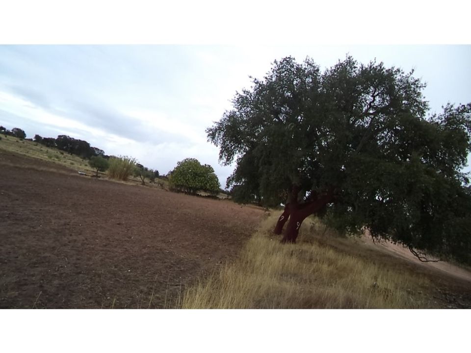 Erhvervsejendom i Barbacena e Vila Fernando, Portalegre - foto 5