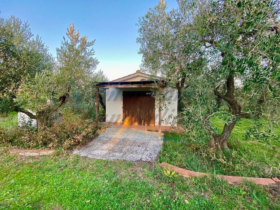 Erhvervsejendom i Cecina, Livorno - foto 3
