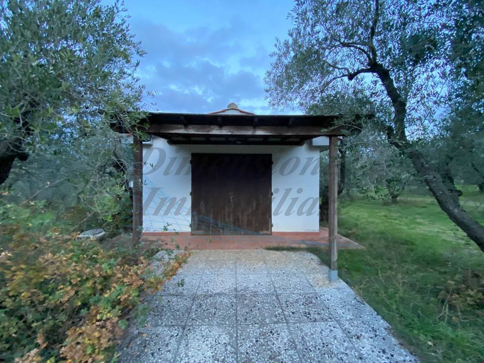 Erhvervsejendom i Cecina, Livorno - foto 5