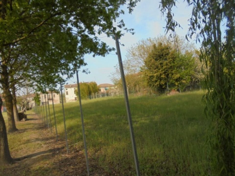 Erhvervsejendom i Riva del Po, Ferrara - foto 4