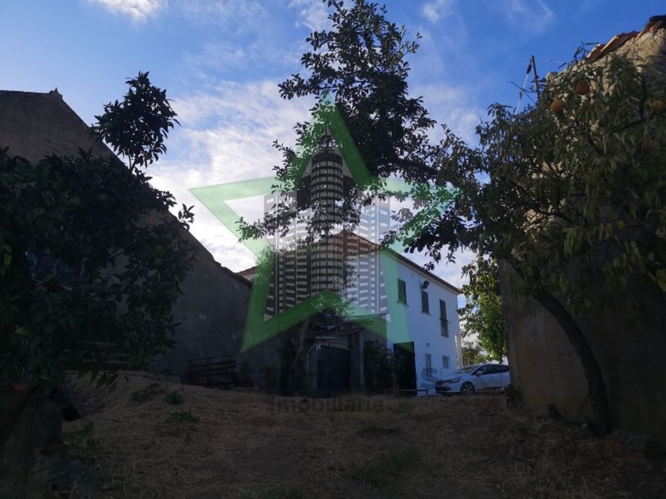 Boerderij in Tomar, Santarem - foto 4