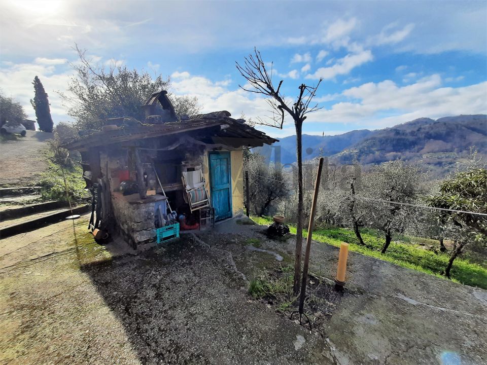 Villa i Borgo a Mozzano, Lucca - foto 5