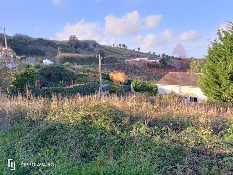 Helårsgrund i Bombarral, Leiria - foto 3