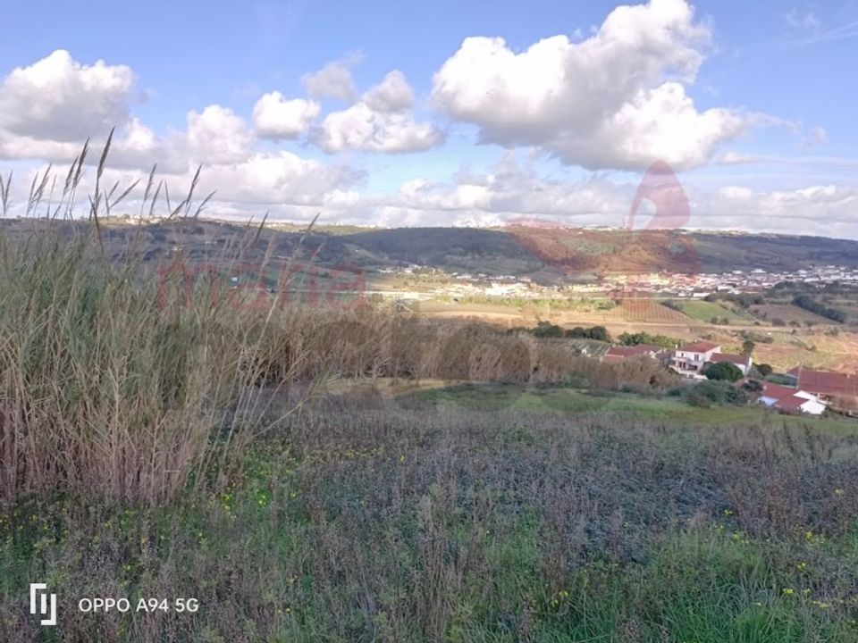 Helårsgrund i Bombarral, Leiria - foto 5