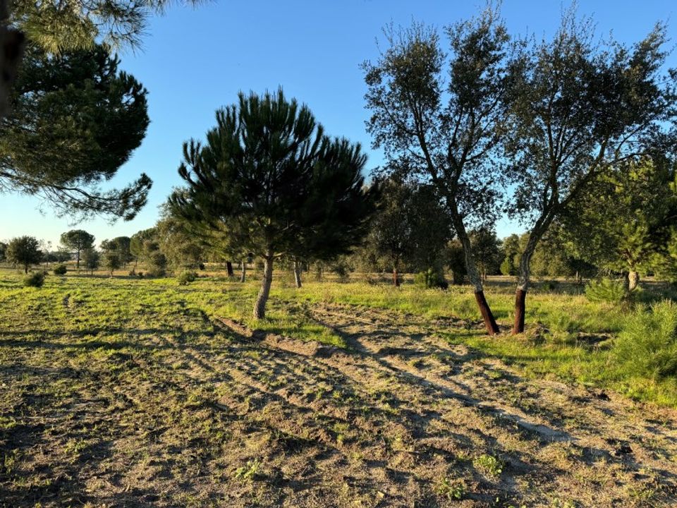 Helårsgrund i Montijo, Setubal - foto 2