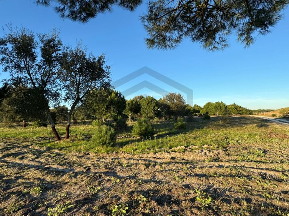 Helårsgrund i Montijo, Setubal - foto 5