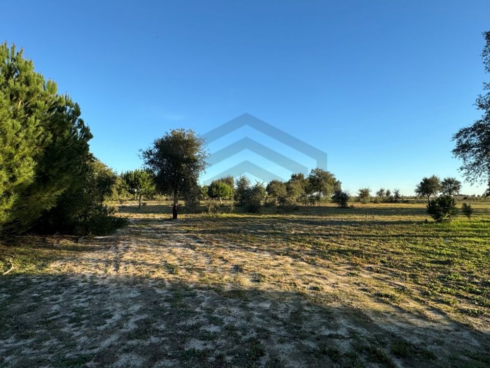 Helårsgrund i Montijo, Setubal - foto 3