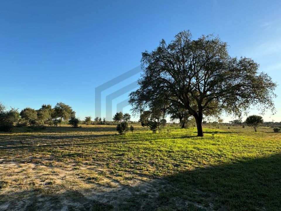 Helårsgrund i Montijo, Setubal - foto 4