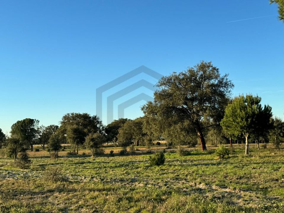 Helårsgrund i Montijo, Setubal - foto 1