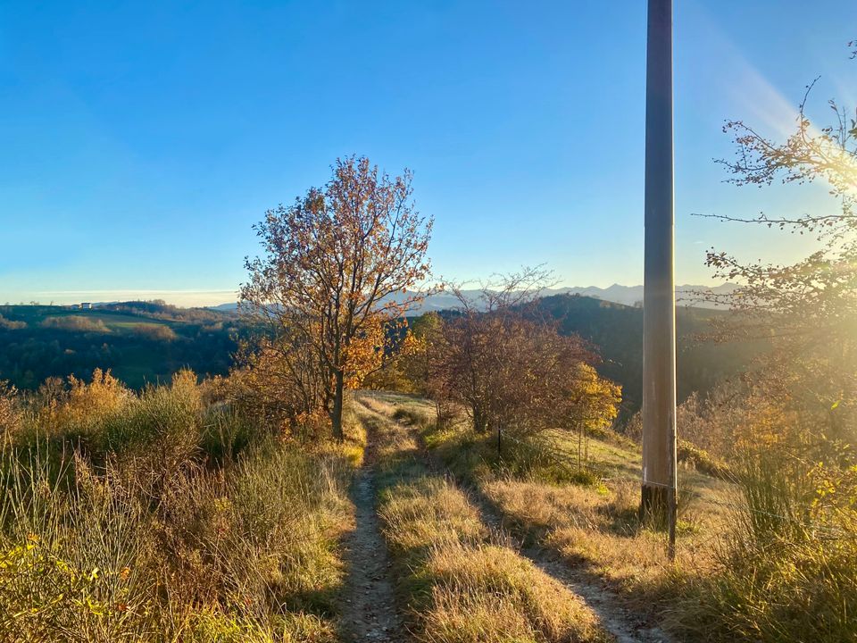 Erhvervsejendom i Marsaglia, Cuneo - foto 1