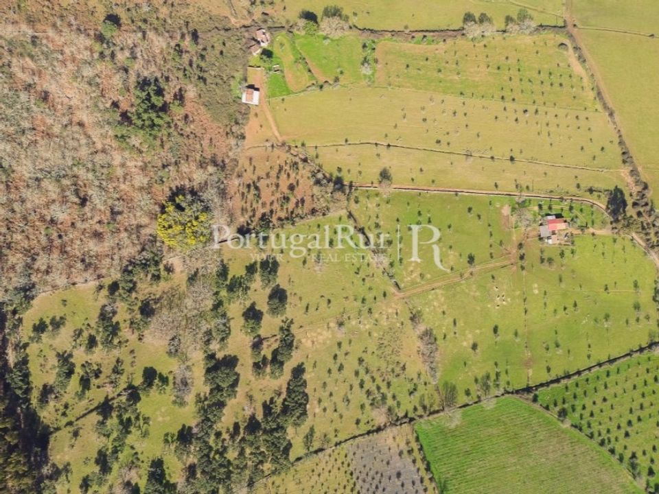 Farm i Marvao, Portalegre - foto 2