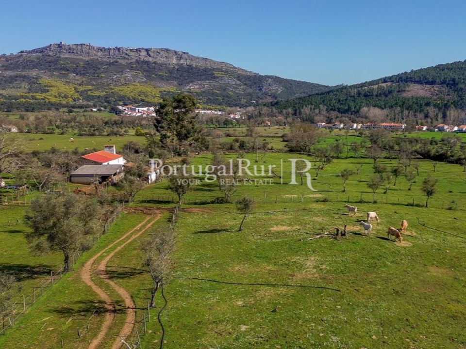 Farm i Marvao, Portalegre - foto 3