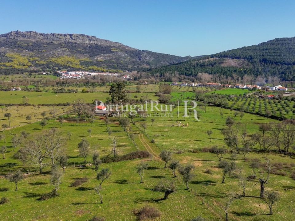 Farm i Marvao, Portalegre - foto 4