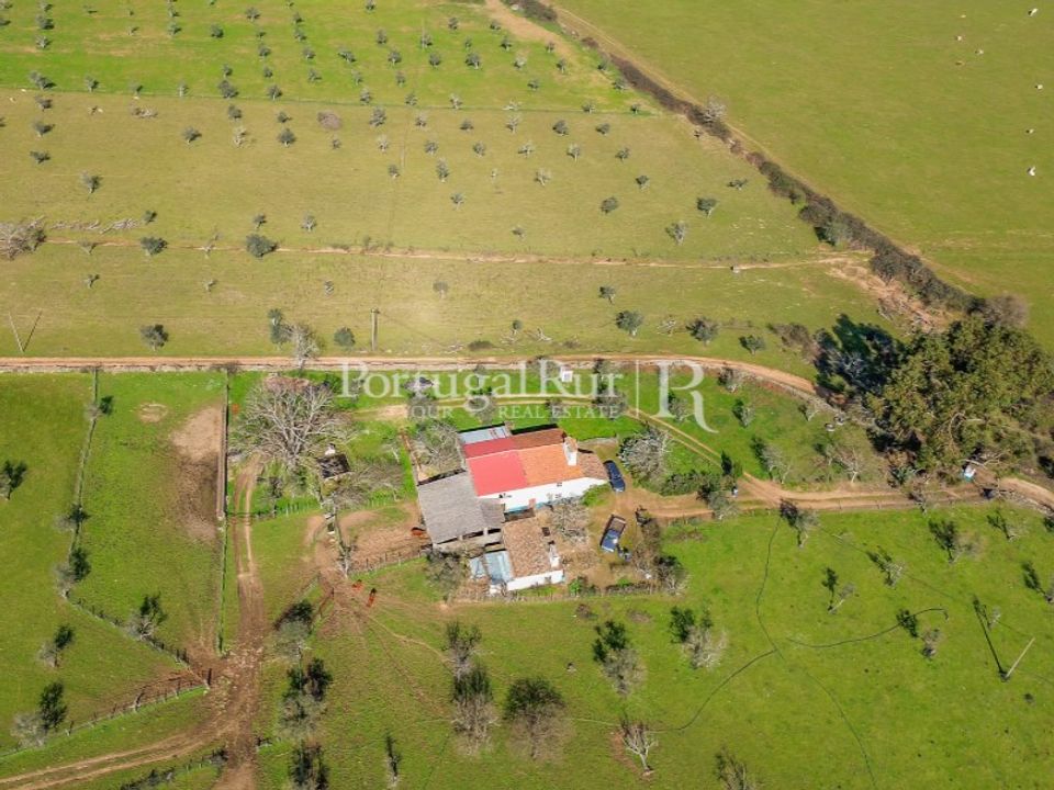 Farm i Marvao, Portalegre - foto 5
