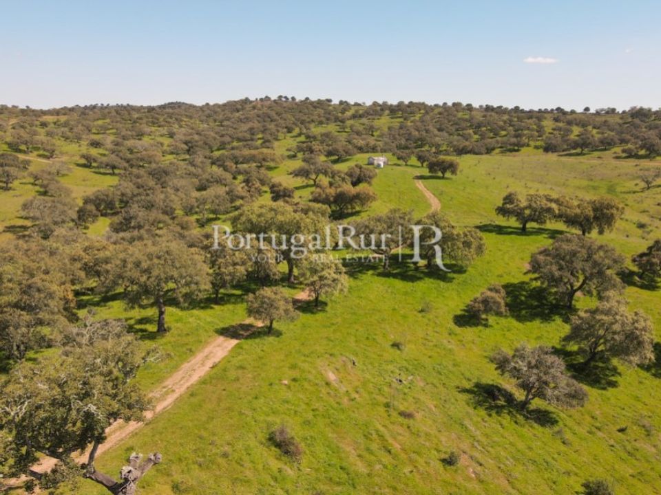 Landejendom i Safara, Beja - foto 5