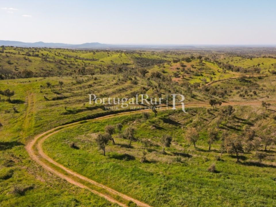 Landejendom i Safara, Beja - foto 3