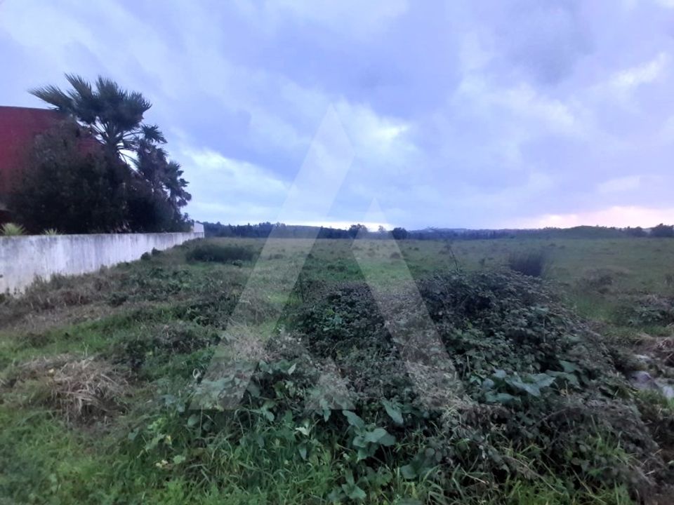 Helårsgrund i Mealhada, Aveiro - foto 2