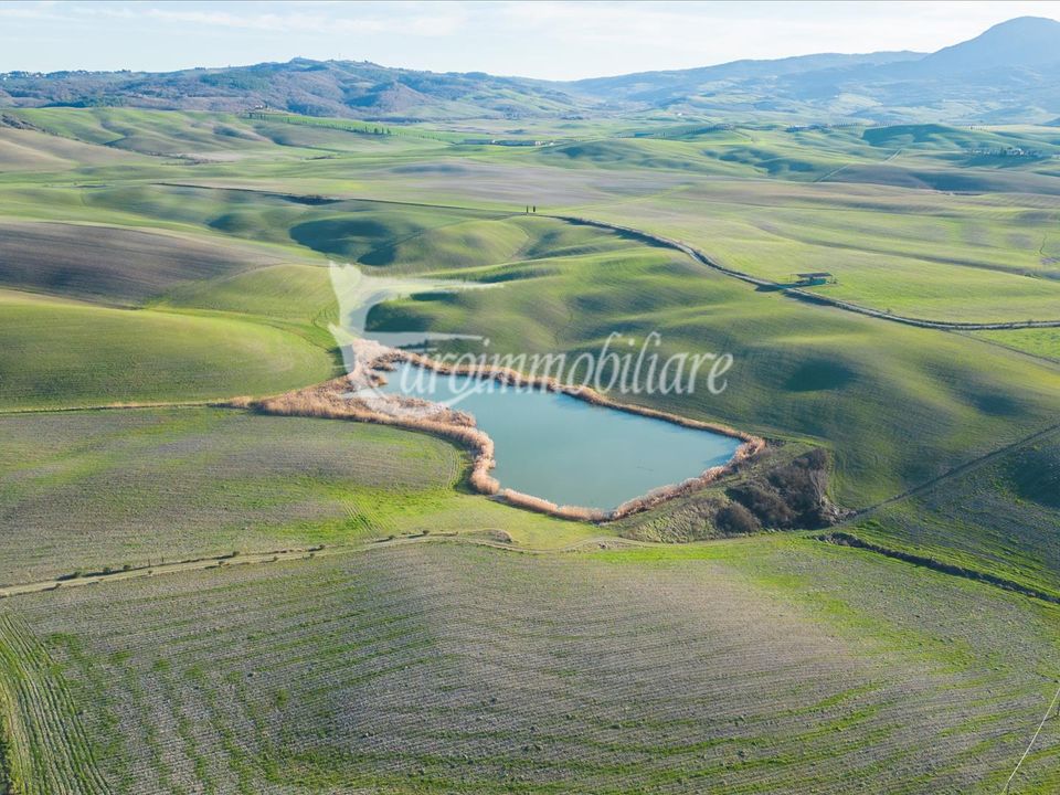 Farm i Castiglione d'Orcia, Siena - foto 4