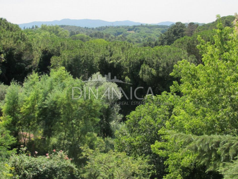Villa in Fauglia, Pisa - foto 4