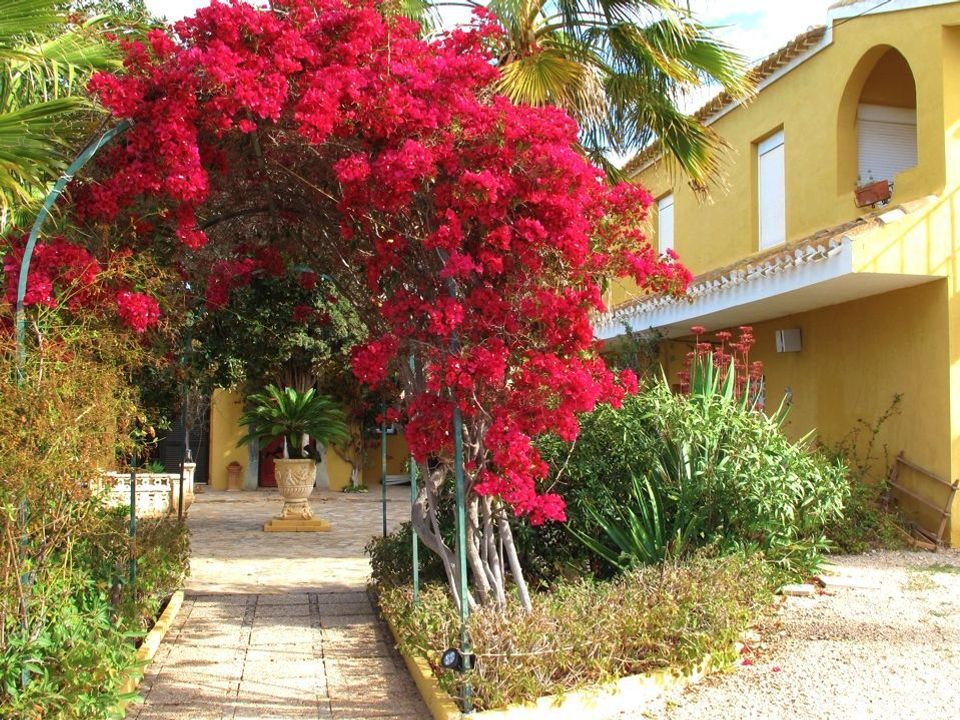 Landejendom i La Azohia, Murcia - foto 3