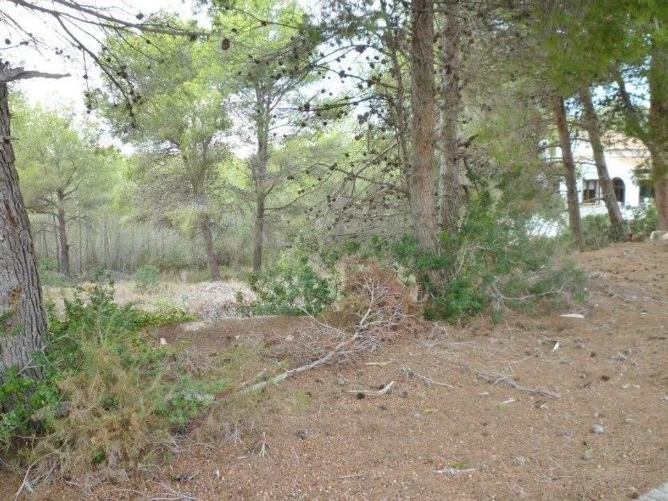 Helårsgrund i Moraira, Alicante - foto 3
