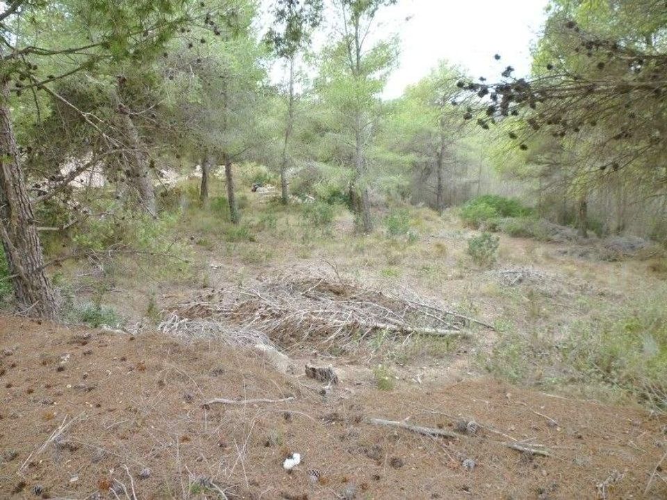 Helårsgrund i Moraira, Alicante - foto 4