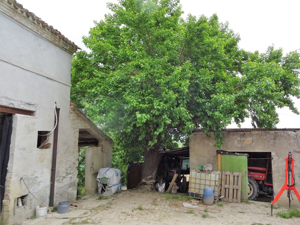 Villa i Senigallia, Ancona - foto 3