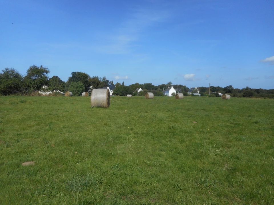 Helårsgrund i Bégard, Cotes-d'Armor - foto 2