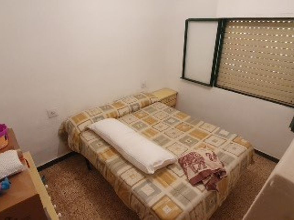 Finca i Sax, Alicante - foto 4